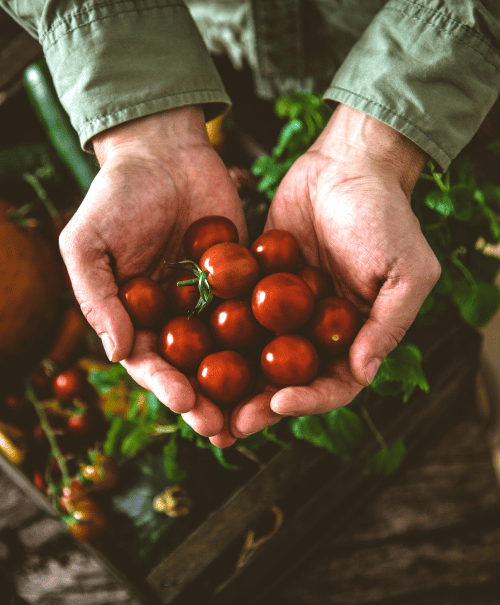 organic food